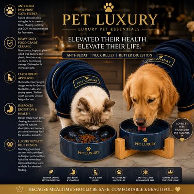 Royal Blue Ceramic Slow Feeder Dog Bowl for Cats & Dogs - Pet Luxury