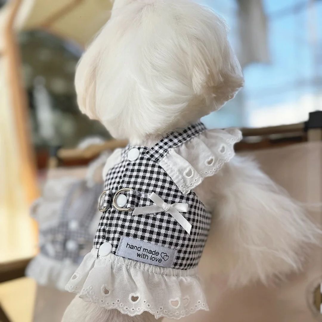 Glamourous Paws Dog Or Cat Dress-Black
