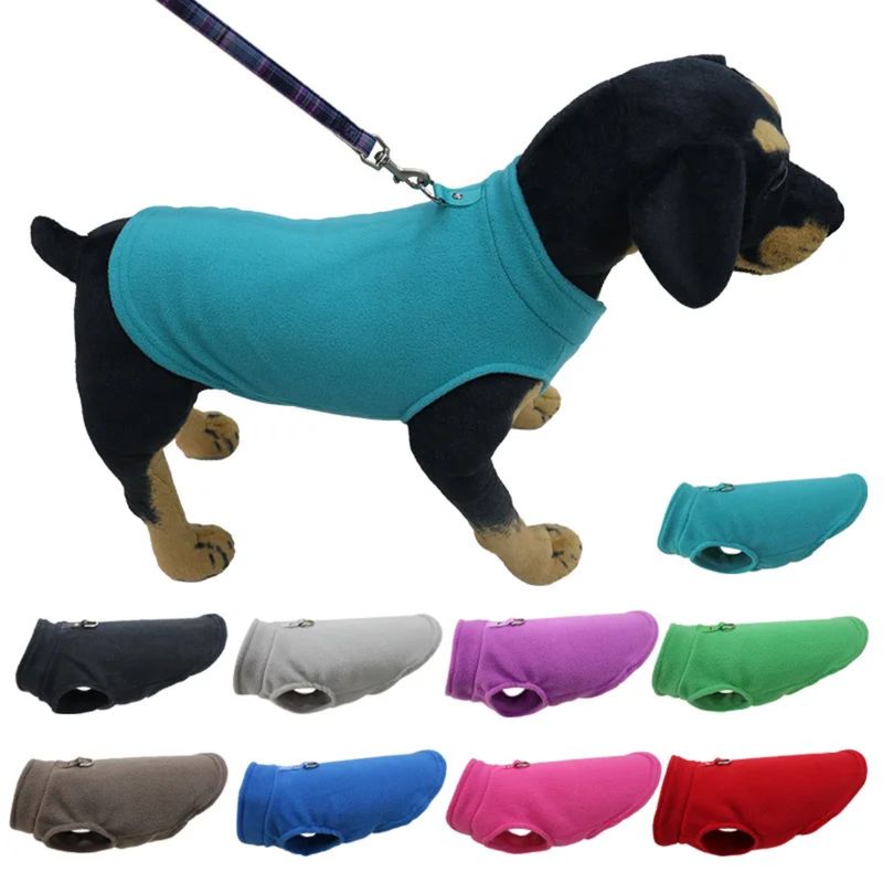 Every Day Furry Pet Shirt - Blue