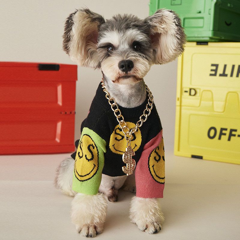 Dapper Doggie Style Jewellery Necklace