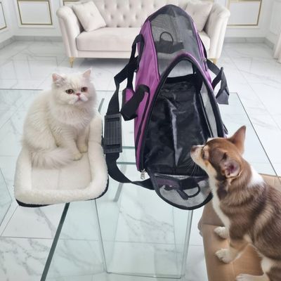 Pet Travel Time Bag-Purple Pet Travel Time Bag-Purple