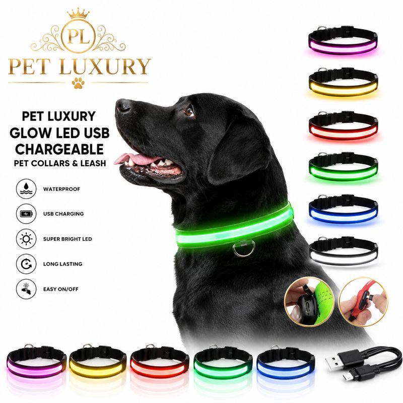 Pet Luxury Glow LED USB Chargeable Pet Collars Leash - Green