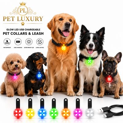 Pet Luxury Glow LED USB Chargeable Pet Collars Leash - Blue
