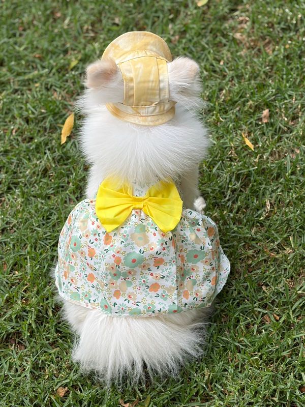 Pet Luxury Yellow Dog Or Cat Bucket Hat Cap Pet Luxury Yellow Dog Or Cat Bucket Hat Cap