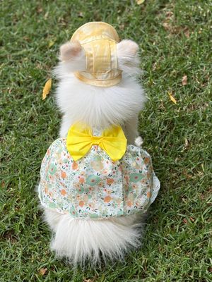 Pet Luxury Yellow Dog Or Cat Bucket Hat Cap Pet Luxury Yellow Dog Or Cat Bucket Hat Cap