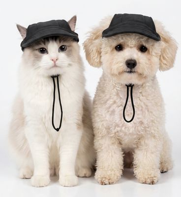 Pet Luxury Canine Black Dog And Cat Hat Cap Pet Luxury Canine Black Dog And Cat Hat Cap