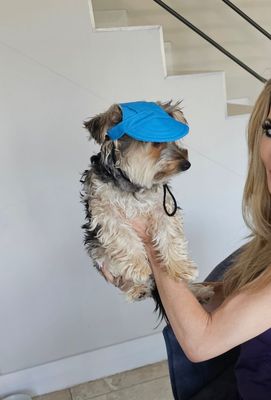 Charming Canine Cap (Blue)