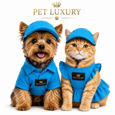 Pet Luxury Canine Blue Dog And Cat Hat Cap