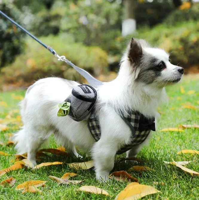 Favorite Paws Pet Back Pack - Green