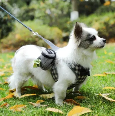 Favorite Paws Pet Back Pack - Green