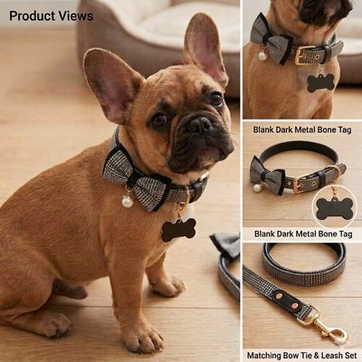 VIP Glam Dog Collar Kit - Silver VIP Glam Dog Collar Kit - Silver