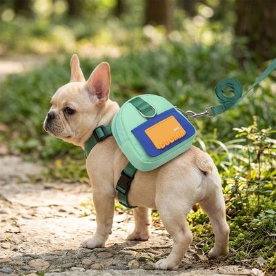 Awesome Paws Pet Back Pack-Green