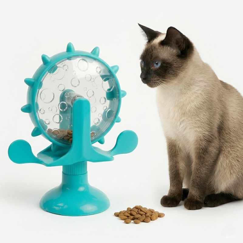 Kitty Cat Play Turquoise Feeder