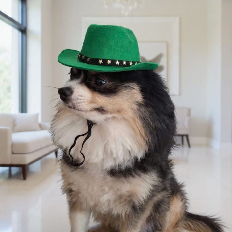 Pet Luxury Green Cowboy Dog And Cat Fashion Hat
