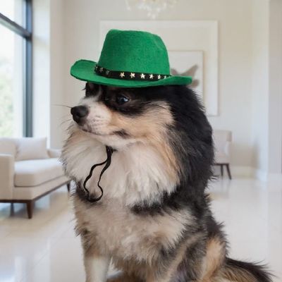 Pet Luxury Green Cowboy Dog And Cat Fashion Hat