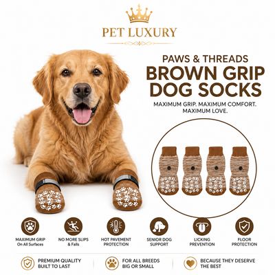 Pet Luxury Paws & Threads Dog Brown Grip Socks