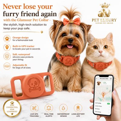 Pet Luxury Orange Glamour Pet Collar