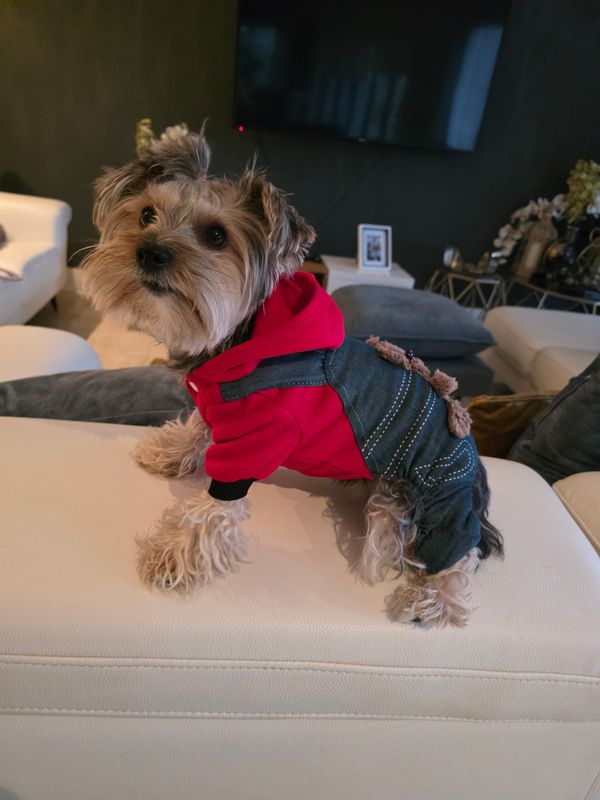 Pet Luxury- Fur & Frost Luxe Winter Wear