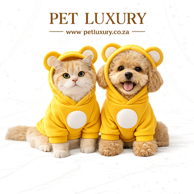 The Amethyst VelvetPaws Teddy Bear Thermal Hoodie Jersey In Yellow From Pet Luxury The Amethyst VelvetPaws Teddy Bear Thermal Hoodie Jersey In Yellow From Pet Luxury