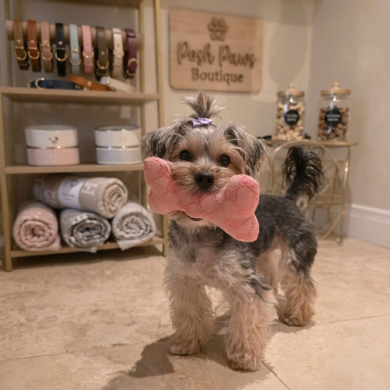 Pet Luxury Designer Pink Squeaky Bone Plush Dog Toy