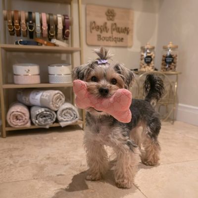 Pet Luxury Designer Pink Squeaky Bone Plush Dog Toy