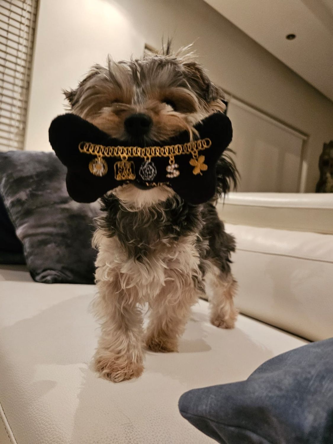 Pet Luxury Chewnel Bone Durable Plush Squeaky Dog Toy