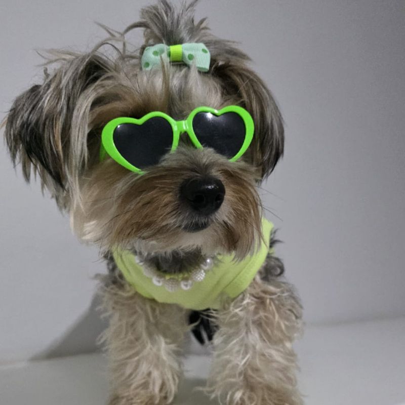 Pet Luxury Green Dog And Cat Sunglasses