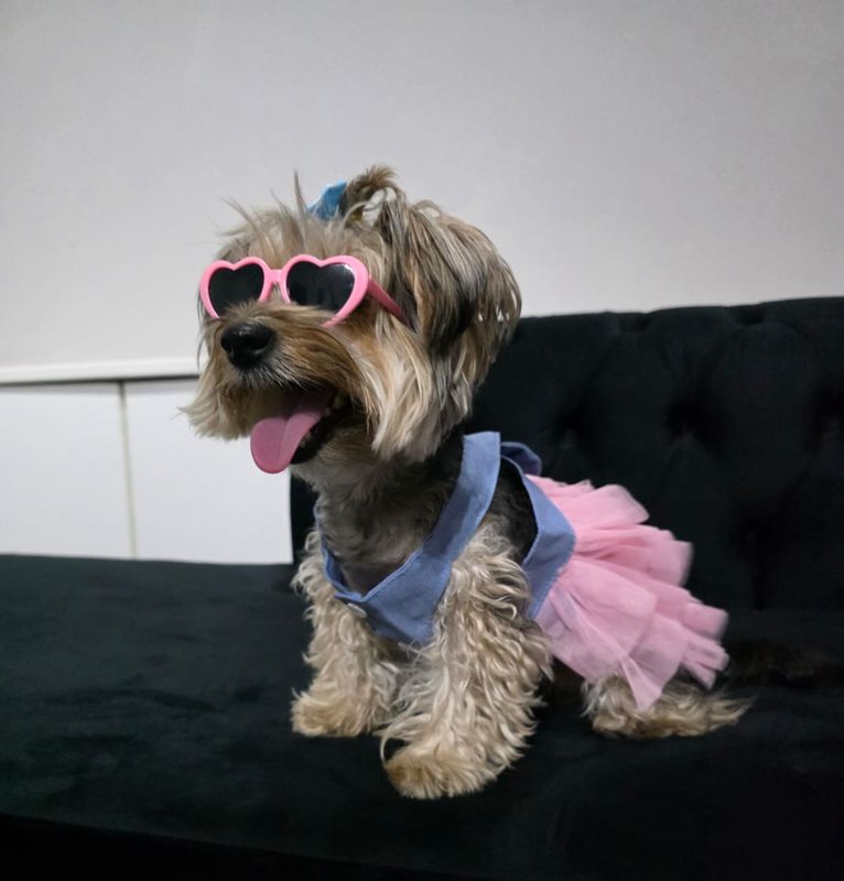 Pet Luxury Pink Dog And Cat Sunglasses