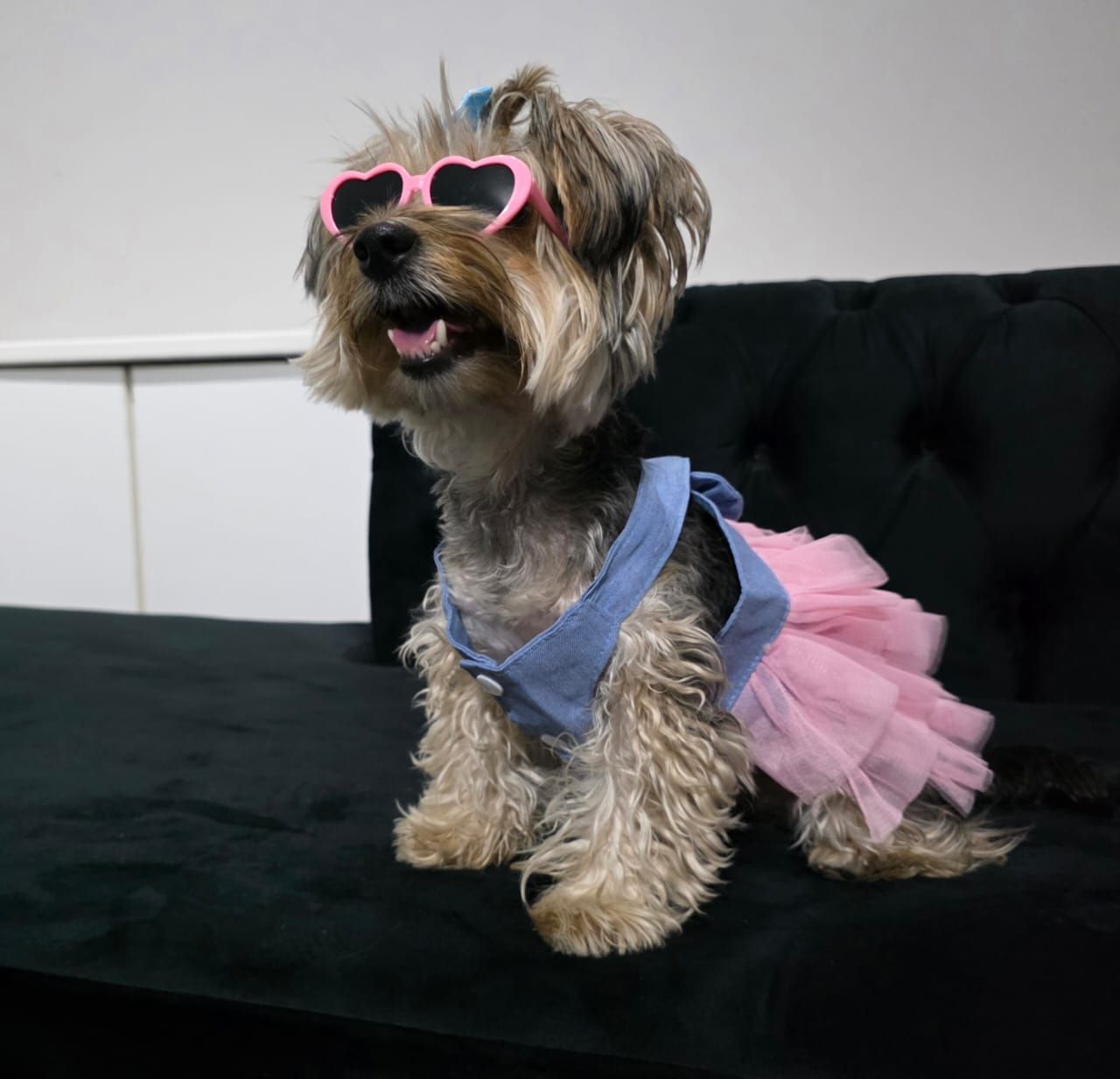 Pet Luxury Pink Dog And Cat Sunglasses