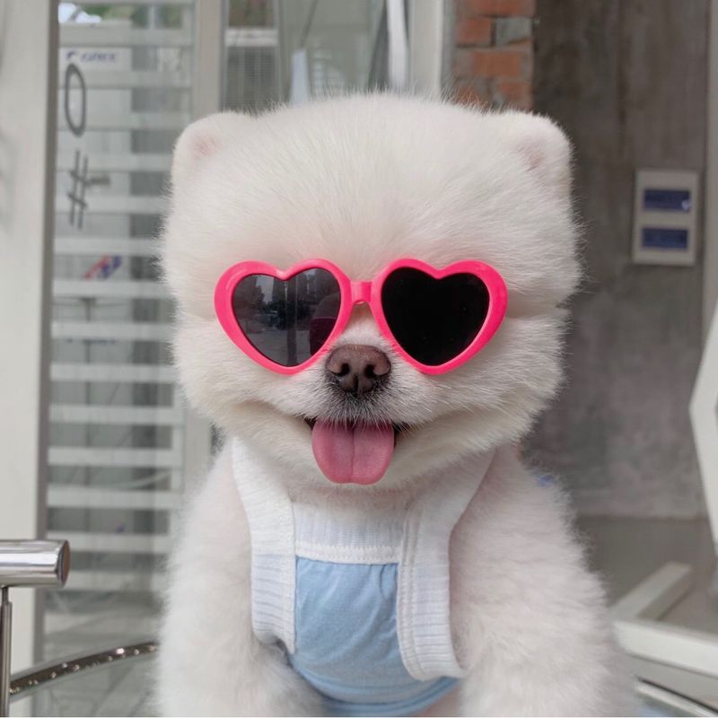 Pet Luxury Dog And Cat Sunglasses-Pink