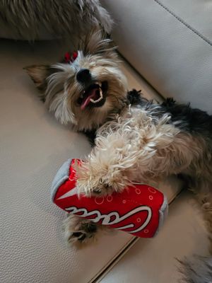 Pet Luxury Soft Squeaky Plush Can Dog Toy