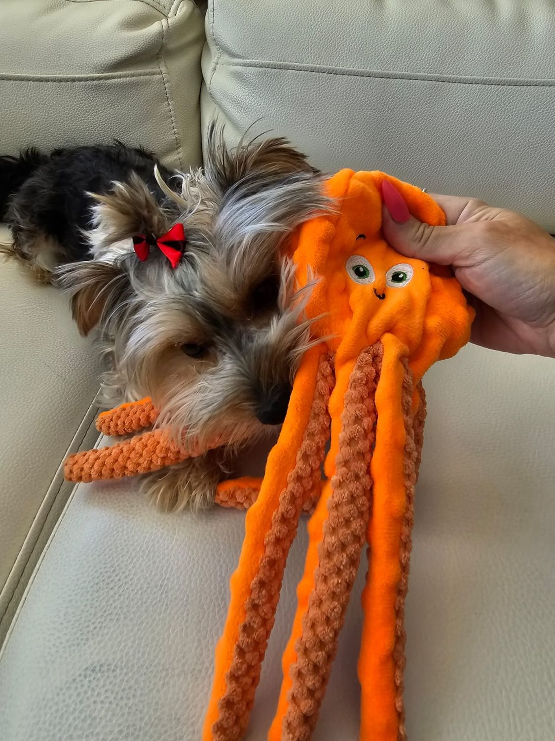 Pet Luxury Dog Plush Squeaky Toy Oceano-Orange