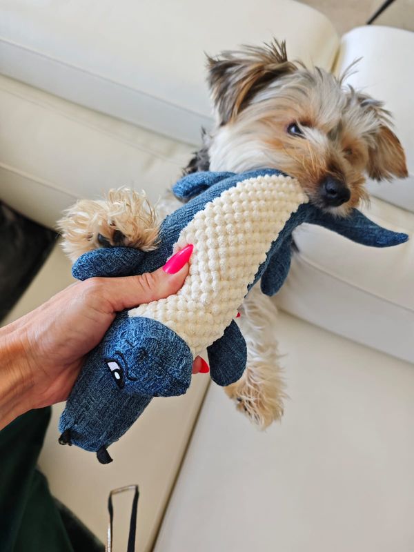 Pet Luxury Crocodile Plush Squeaky Dog Toy