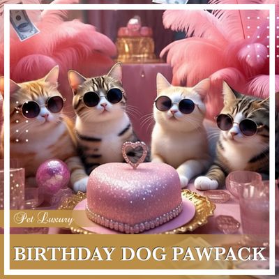Birthday Cat PawPack From Pet Luxury