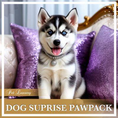 Dog Surprise PawPack From Pet Luxury