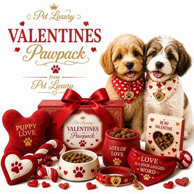 Valentines PAWPACK — Pet Luxury’s PAWPACK Valentines PAWPACK — Pet Luxury’s PAWPACK