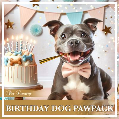 Birthday Dog PawPack From Pet Luxury