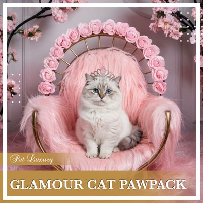Glamour Cat Pawpack From Pet Luxury