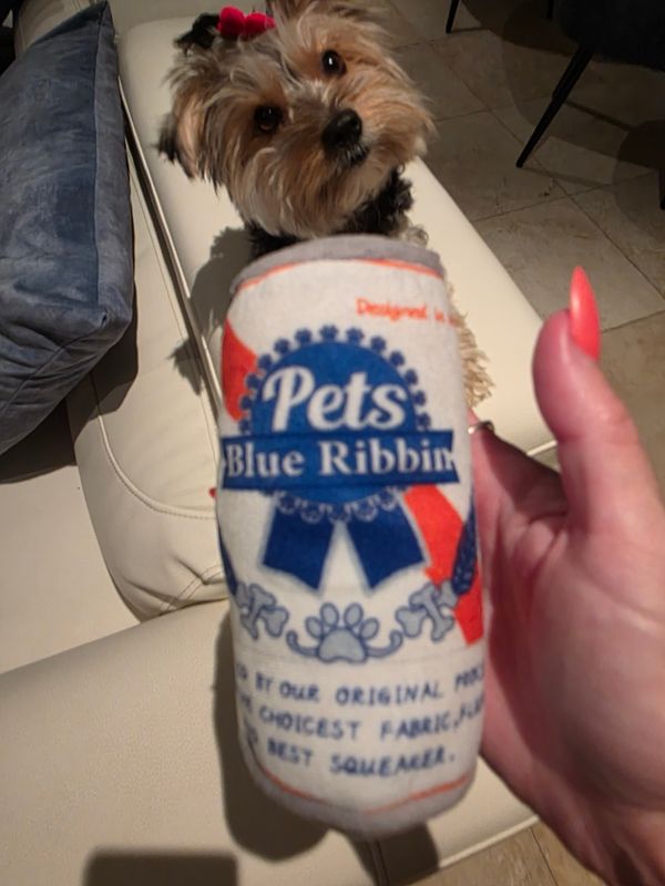 Pet Luxury Dog Squeaky Plush Toy Drink