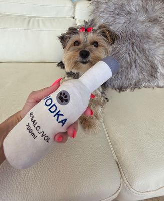 Pet Luxury Soft Drink Ice Bottle Dog Squeaky Durable Plush Toy