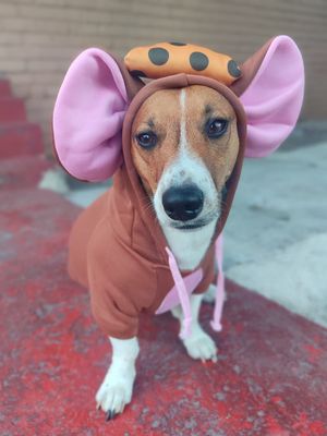 Pet Luxury Adorable Pet Hoodie