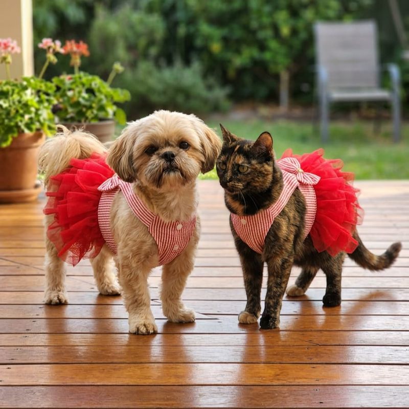 My Little Angel Dog And Cat Dress-Red