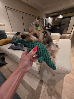 Pet Luxury Dino Rope Chew Toy