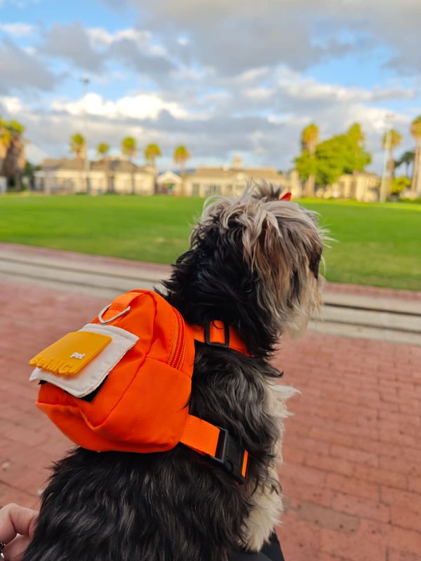Pet Luxury Paws Pet Backpack
