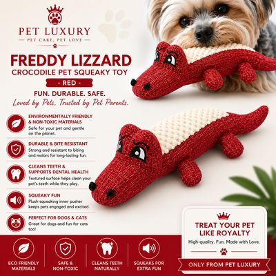 Freddy Lizzard Crocodile Pet Squeaky Toy - Royal Red