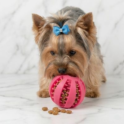 Coco Paw Dog Feeder Ball - Pink