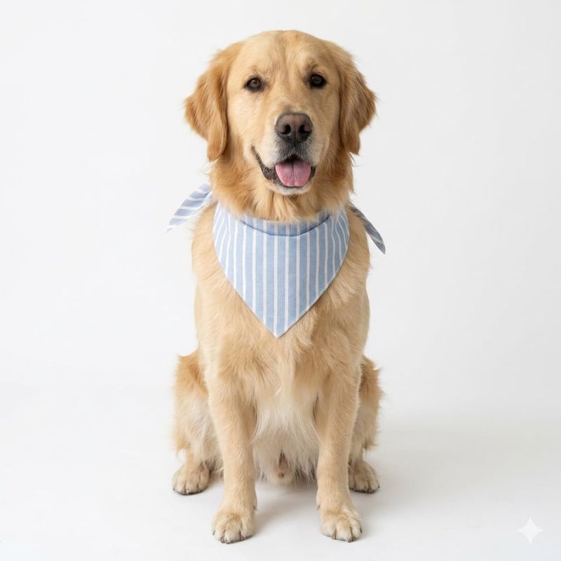 Pet Luxury Striped Bandana