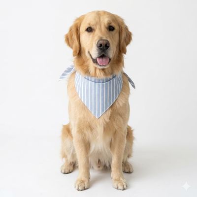 Pet Luxury Striped Bandana