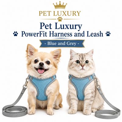 Pet Luxury PowerFit Dog Harness and Leash Set, No-Pull Breathable Mesh Vest for Small Medium Large Dogs & Cats Pet Luxury PowerFit Dog Harness and Leash Set, No-Pull Breathable Mesh Vest for Small Medium Large Dogs & Cats