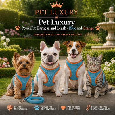 Pet Luxury PowerFit Harness and Leash - Blue and Orange